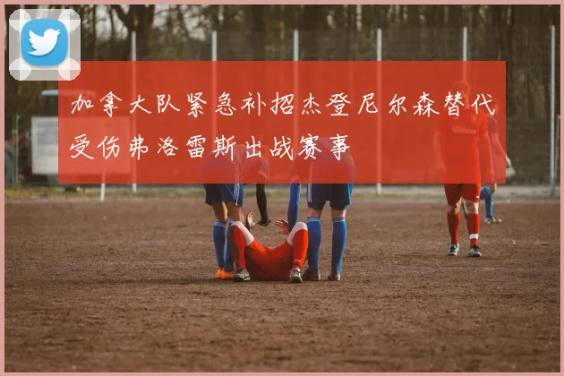 加拿大队紧急补招杰登尼尔森替代受伤弗洛雷斯出战赛事